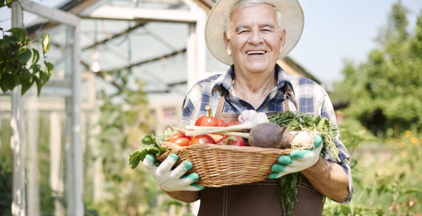 AGRICULTURA ORGÂNICA