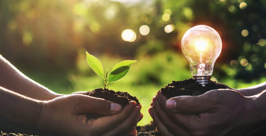 EDUCAÇÃO E GESTÃO AMBIENTAL