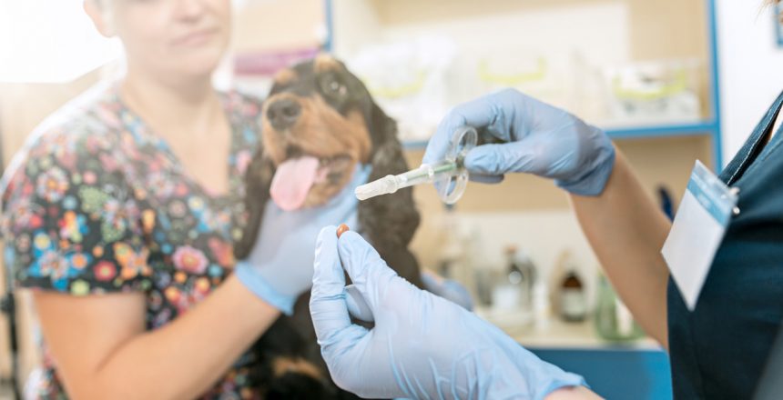 FARMACOLOGIA E TERAPÊUTICA VETERINÁRIA